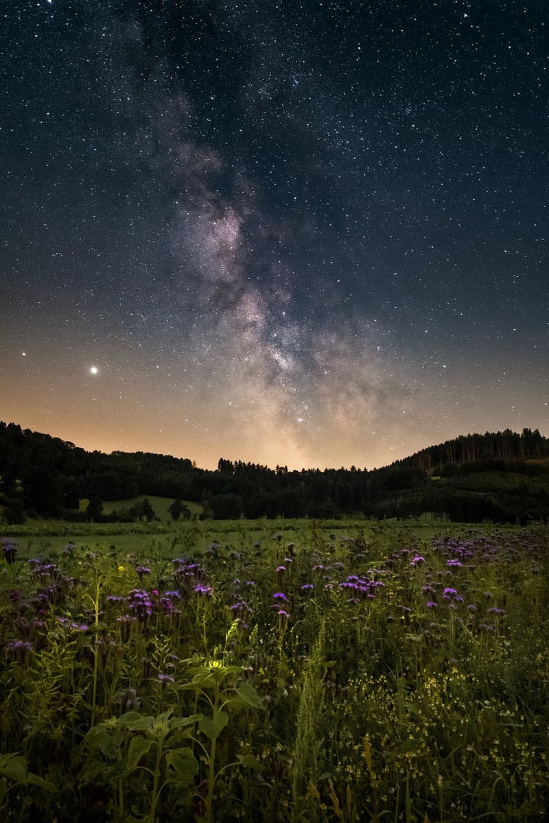 Galactic Civilizations